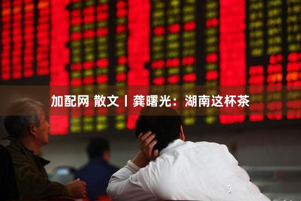 加配网 散文丨龚曙光：湖南这杯茶